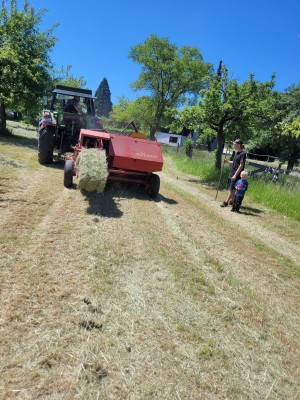 Landwirtschaftliche Dienstleistungen